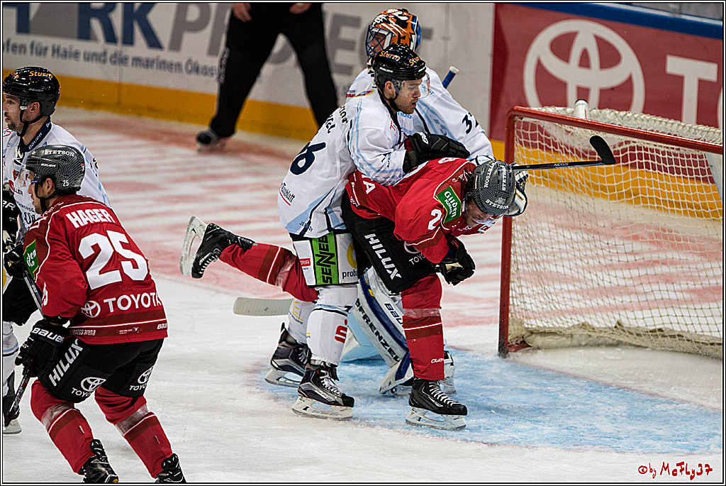 Koelner Haie - Straubing Tigers, 03.10.2016